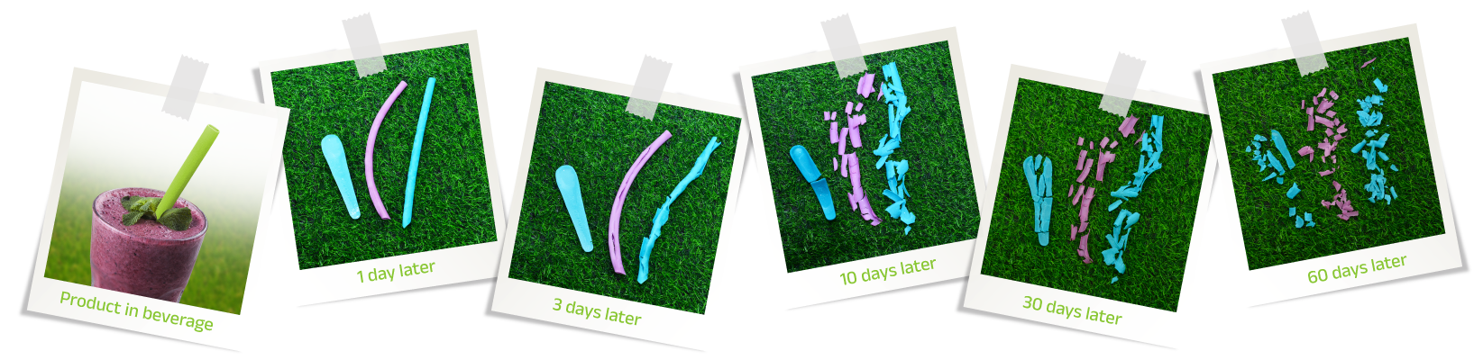 Gallery - About Us - AKUPARA