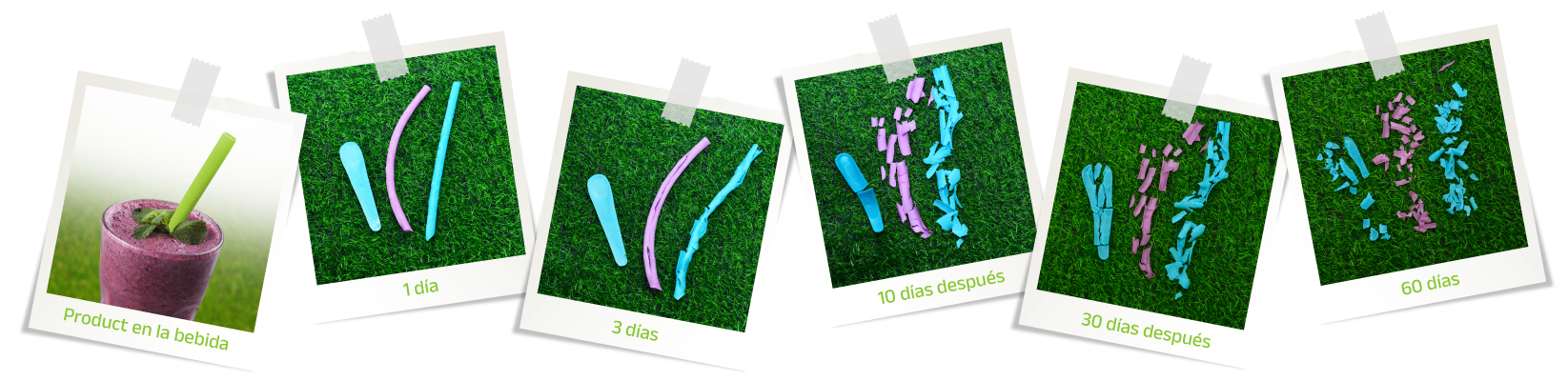 Galería - Acerca de Nosotros - AKUPARA